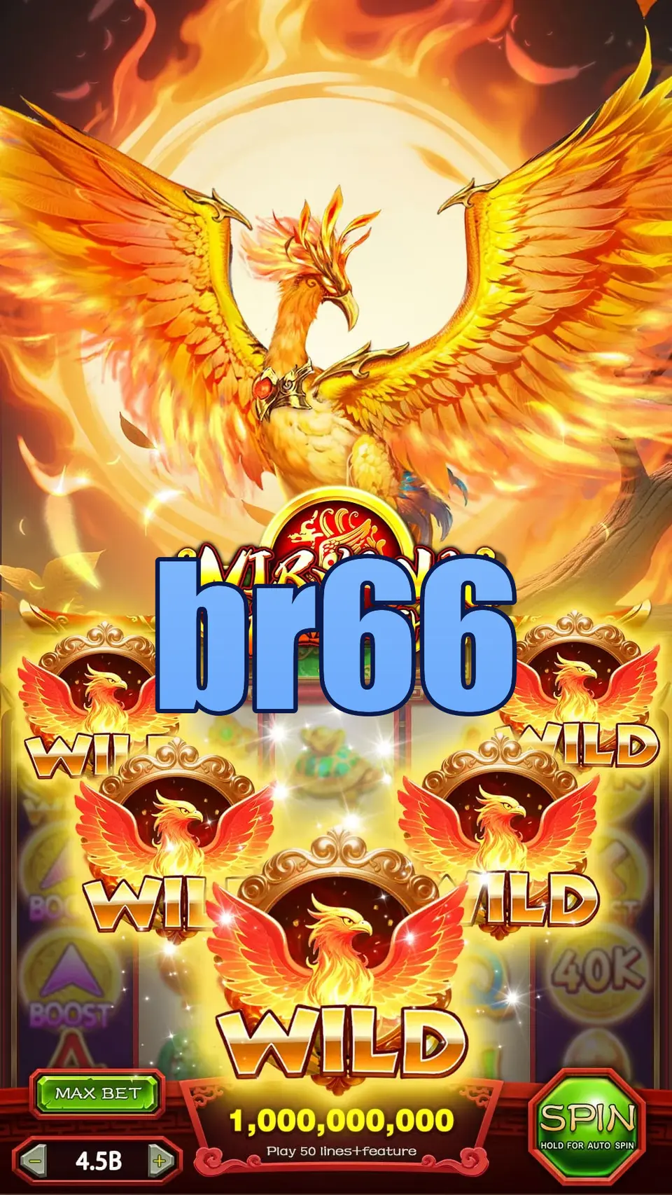 br66 Baixar